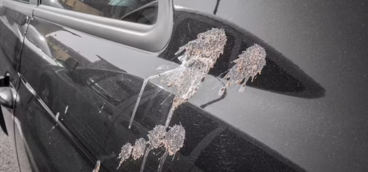 Samochód musi jeździć albo będziesz go naprawiać